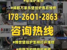 博士壁挂炉调试方法（全面解析博士壁挂炉的调试步骤和技巧）