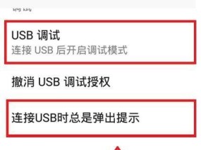 解决电脑没有USB驱动的问题（如何安装USB驱动程序）