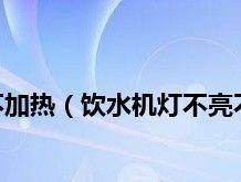 灯泡不亮了——分析和解决方法（了解灯泡不亮的原因及常见故障排查方法）