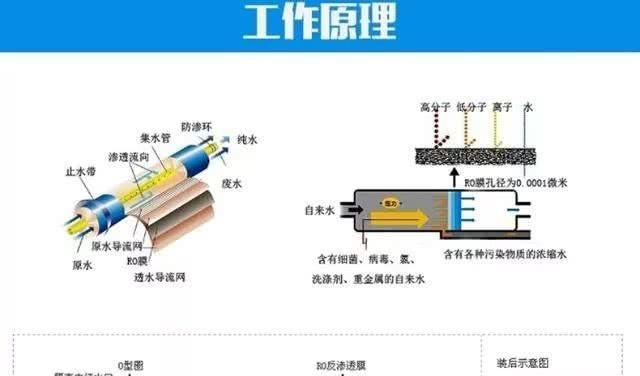 净水器为什么会有臭水（探究臭水的成因与处理方法）  第1张